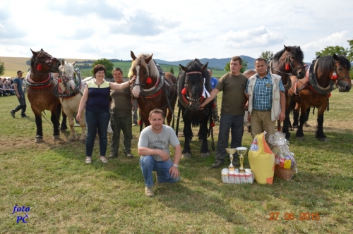 201506300048520.furmanske_735