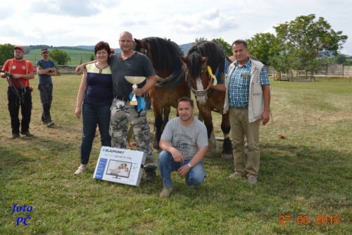 201506300048520.furmanske_739