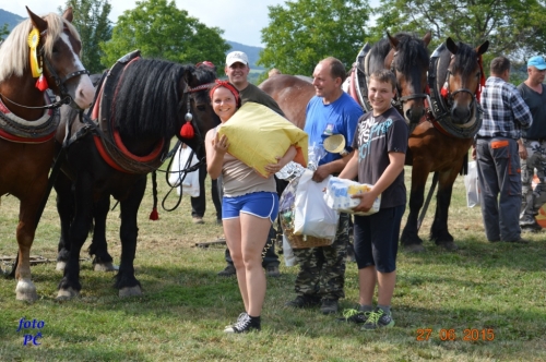 201506300048520.furmanske_749