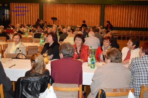 201510252228300.jubilanti_118