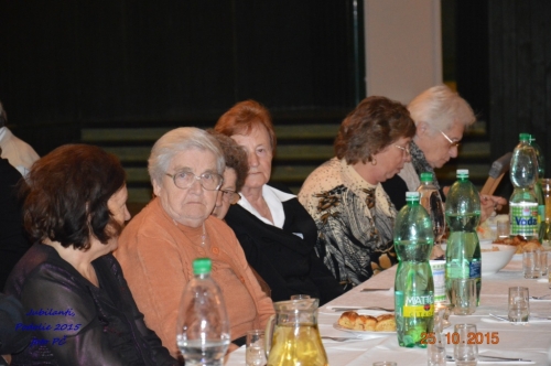 201510252228300.jubilanti_124