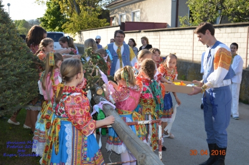 201605011919260.20160430_stavanie_maja_055