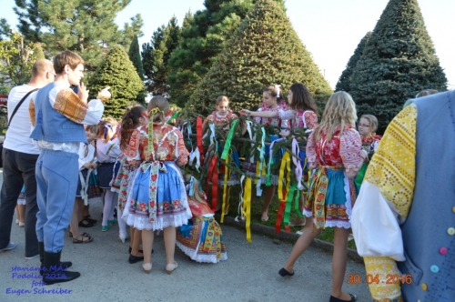 201605011919260.20160430_stavanie_maja_059