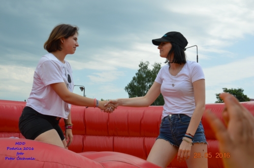 201605292226420.mdd_2016_0270