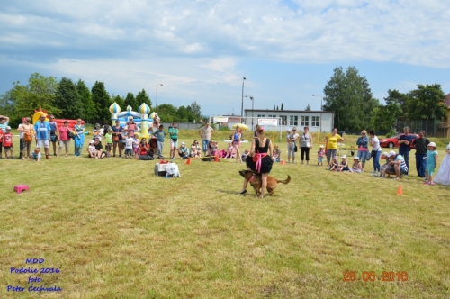 201605292226420.mdd_2016_0463