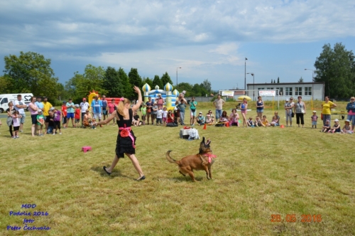 201605292226420.mdd_2016_0474