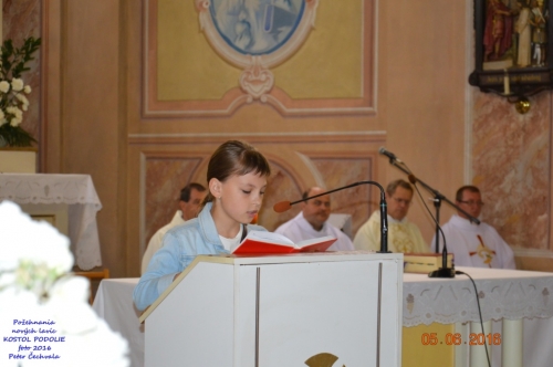 201606051943490.pozehnanie_lavic_v_kostole_034
