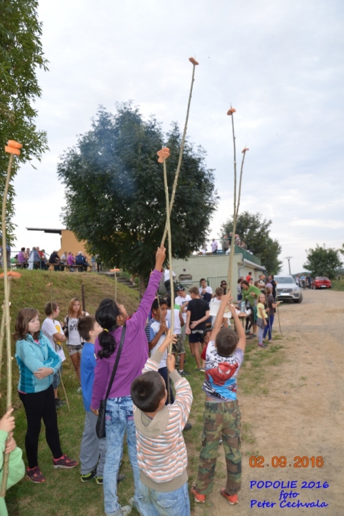 201609031216520.vatra_snp_105