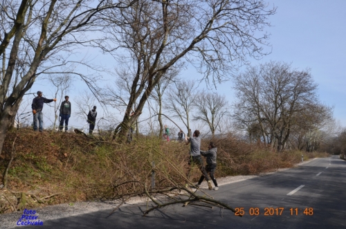 201703272334050.brigada_hlboka_041