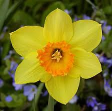 201704051054160.narcis