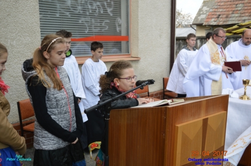 201704301307590.20170429_osl_oslobodenia_047