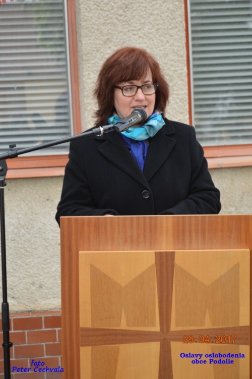 201704301307590.20170429_osl_oslobodenia_092