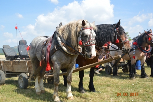 201706251540550.furmanske_preteky_089