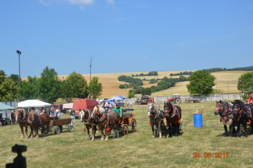 201706251540560.furmanske_preteky_108