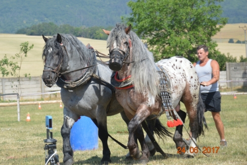 201706251540560.furmanske_preteky_136