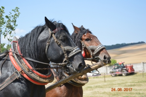 201706251540560.furmanske_preteky_206