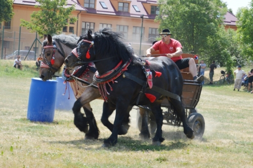 201706251540560.furmanske_preteky_283