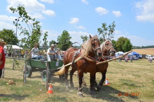 201706251540560.furmanske_preteky_328