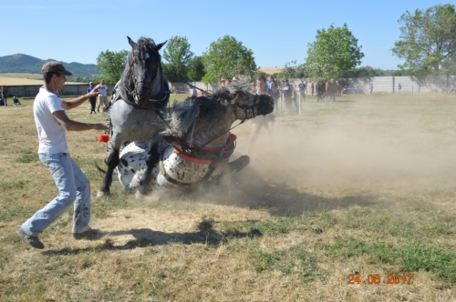 201706251543340.furmanske_preteky_1008