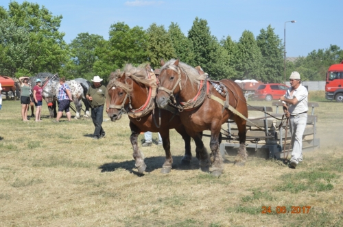 201706251543340.furmanske_preteky_1019