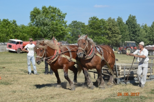 201706251543340.furmanske_preteky_1024