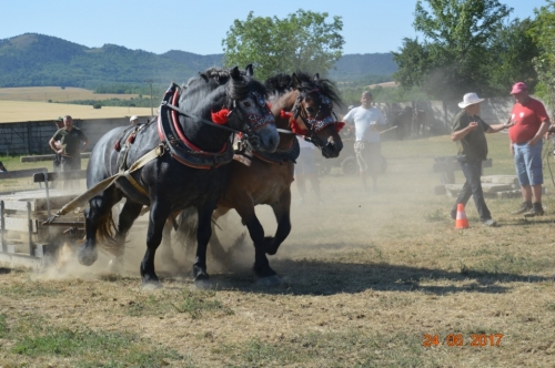 201706251543340.furmanske_preteky_1037