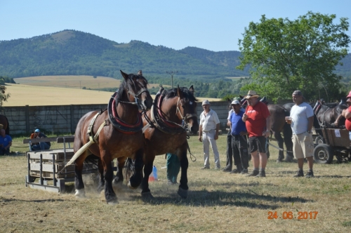 201706251543340.furmanske_preteky_1041