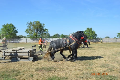 201706251543350.furmanske_preteky_1082