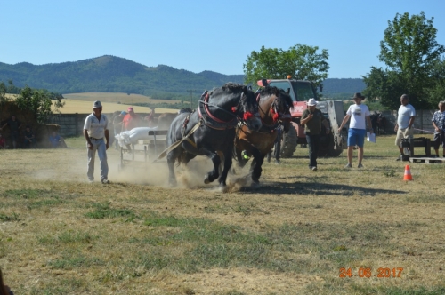 201706251543350.furmanske_preteky_1112