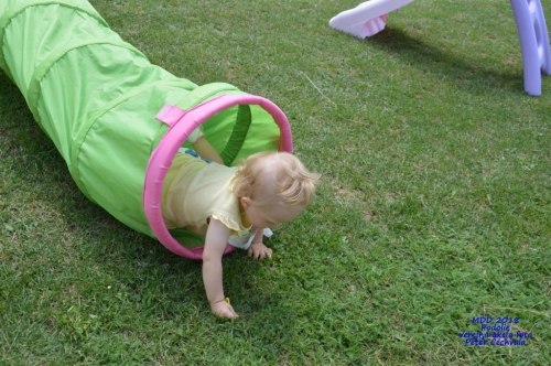 201806040139430.mdd-2018-podolie-039