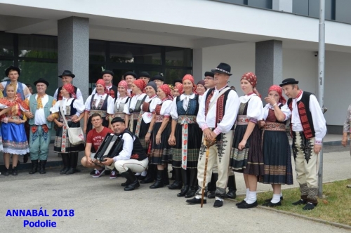 201807240018320.20180722-annabal-170