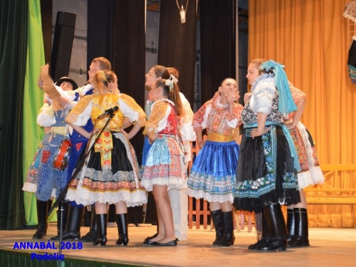 201807240018320.20180722-annabal-200