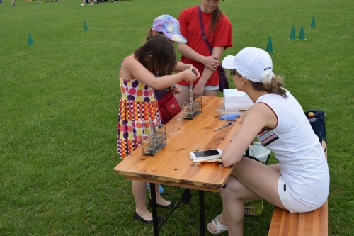 201906082333440.mdd-podolie009