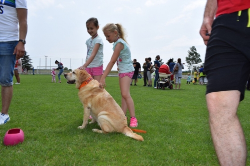 201906082333440.mdd-podolie061