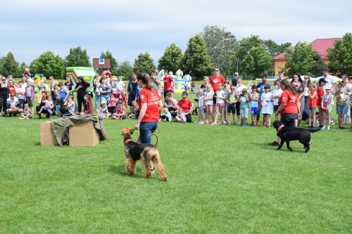 201906082333440.mdd-podolie063