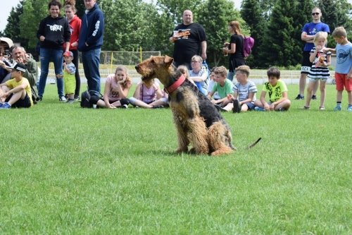201906082333440.mdd-podolie066