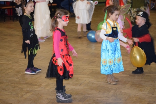 202001292141270.karneval-podolie03