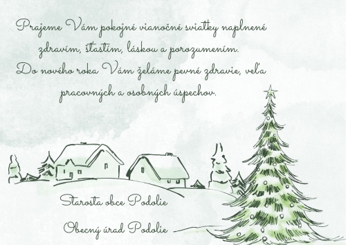 202412241327340.blue-year-in-review-christmas-card