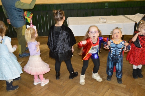 202501262227450.podolie-karneval59
