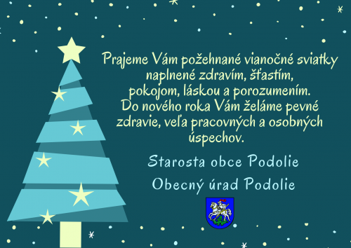 202512221519160.blue-year-in-review-christmas-card-1