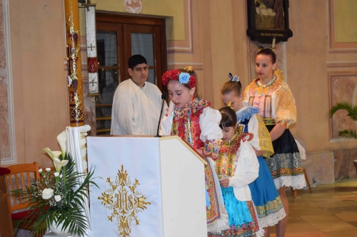 202604271708300.dsc-0150