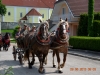 Tradičné Furmanské preteky 29. júna 2013 v Podolí sa vydarili