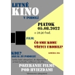 Pozvánka na LETNÉ KINO: Čo sme komu všetci urobili