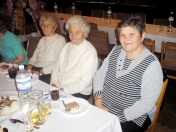 posedenie-dchodcov-102008