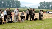 slovensky-polovnicky-zvae-podolie-72009